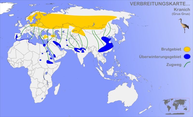 Kolor żółty - letnie lęgowiska, niebieski - zimowiska żurawi (Wikipedia)